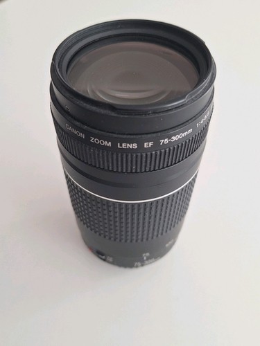 Canon 300 4 - canon, ef
