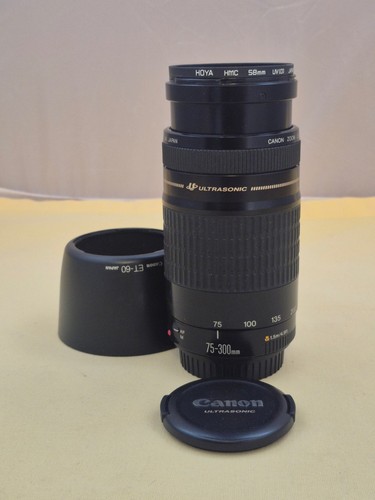 Canon 300mm ultrasonic - ef,