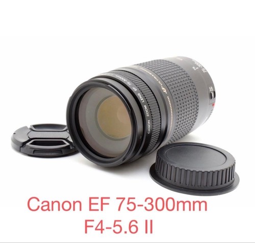 Canon 300mm 5 6 - f4-5.6, ii