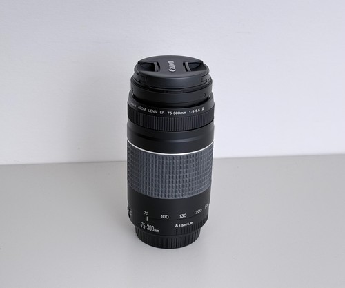 Canon 300mm 0 5 - 75-300mm, f/4.0-5.6