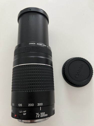 Canon 300mm 5 - canon, f/4-5.6
