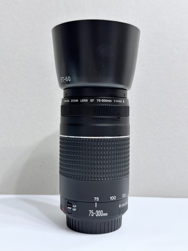 Canon 300 4 5 6 - canon, 75-300