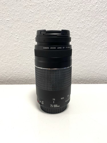 Canon 300mm 5 6 - 1:4-5.6, iii