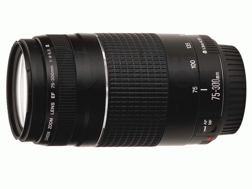 Canon 300mm 5 - canon, ef