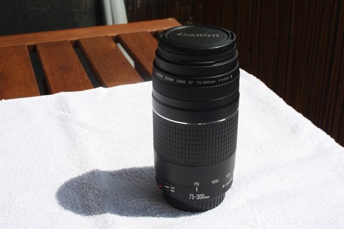 Canon zoom lens 300mm - lens, ef