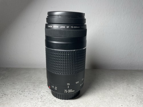 Canon 300mm 5 6 iii - ef, 75-300mm
