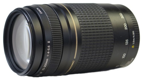 Canon 300 4 0 - mm, f/4.0-5.6
