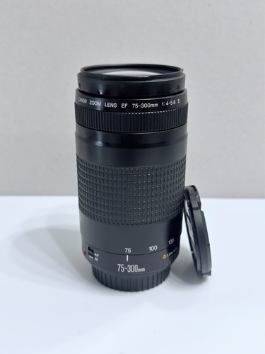 Canon 300 4 - 75-300, f/4-5.6
