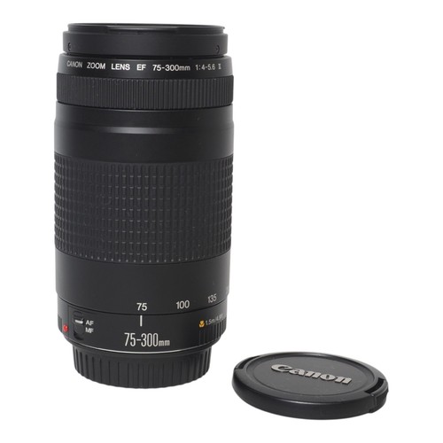 Canon 300 4 5 6 - canon, ef
