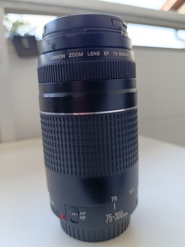 Canon 300mm 5 - canon, f4-5.6