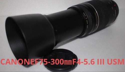 Canon 300mm 5 6 iii - canon, f4-5.6