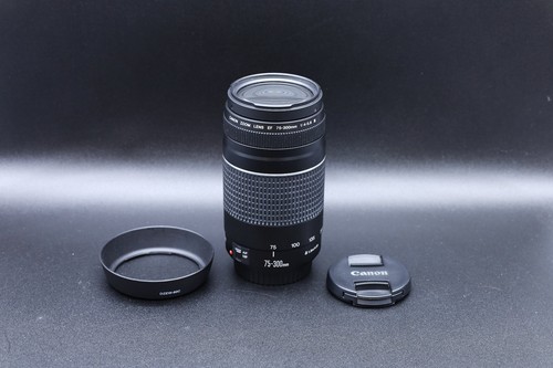 Canon 300mm 5 6 iii - canon, 4.0-5.6