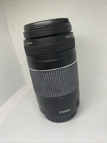 Canon 300mm 5 - canon, ef