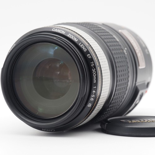 Canon 300mm 5 6 is - canon, f4-5.6