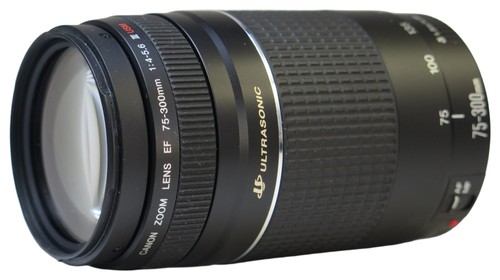 Canon 300 4 - 75-300, f/4.0-5.6