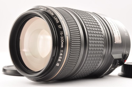 Nearmint canon 75 300mm - canon, ef