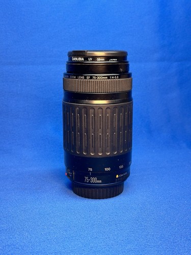 Canon 300mm 4 - ef, 75–300mm