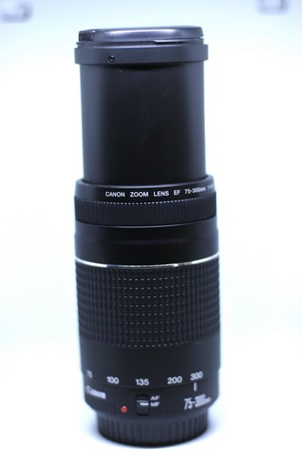 Canon zoom 300mm 4 - zoom, 1:4-5.6