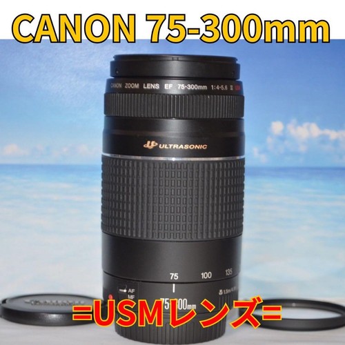 Canon 300mm teleobjektiv - ef, 75-300mm