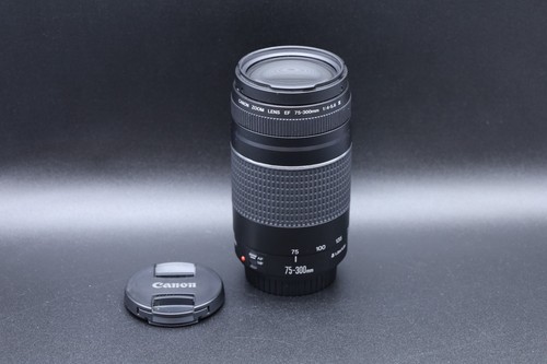 Canon 300mm 5 6 - 75-300mm, iii