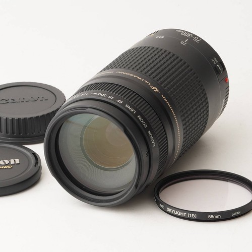 Canon 300mm 5 - 75-300mm, f/4-5.6