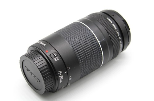 Canon 300mm 5 6 iii - ef, 75-300mm