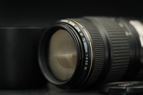 Canon 300mm 5 6 - ef, f/4-5.6