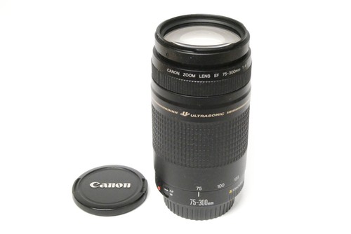 Canon 300 ii usm - 75-300,
