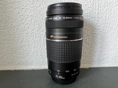 Canon zoom lens 300mm - canon,