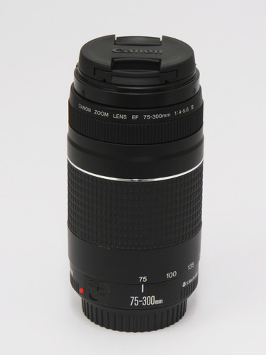 Canon zoom lens 300mm - lens, 75-300mm