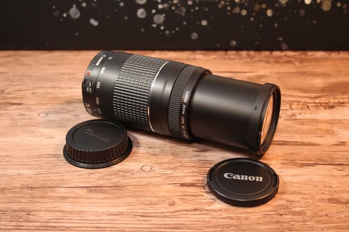 Canon 300mm 5 6 iii - f4-5.6,