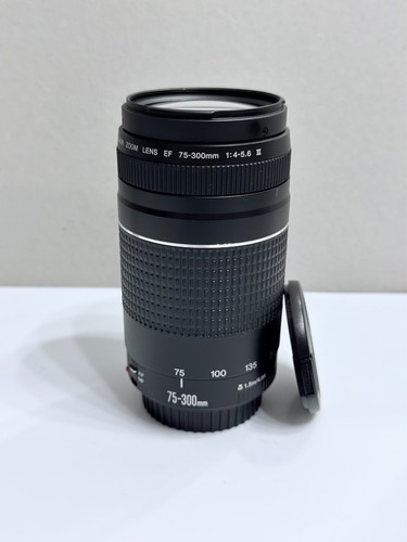 Canon 300 4 5 6 - mm, f/4-5.6