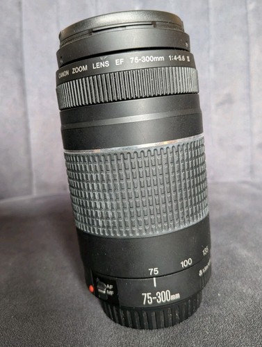 Objektiv canon zoom lens - zoom,