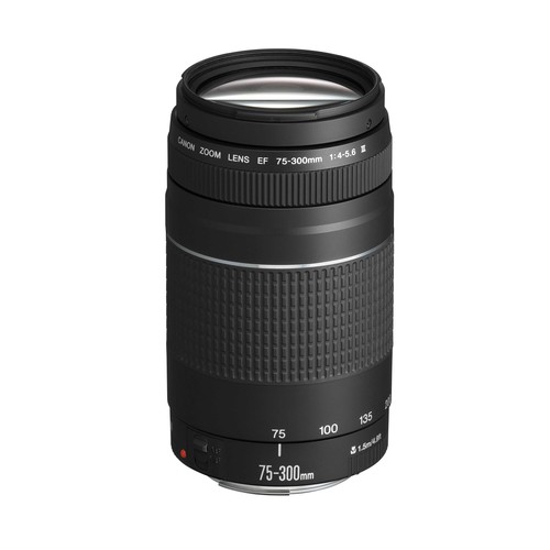Canon 300mm 5 6 iii - canon, 75-300mm