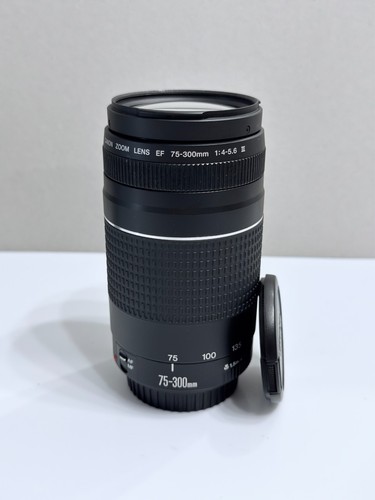 Canon 300 4 - ef, iii