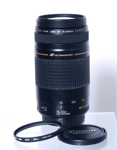 Canon 300mm 5 - canon, f/4-5,6