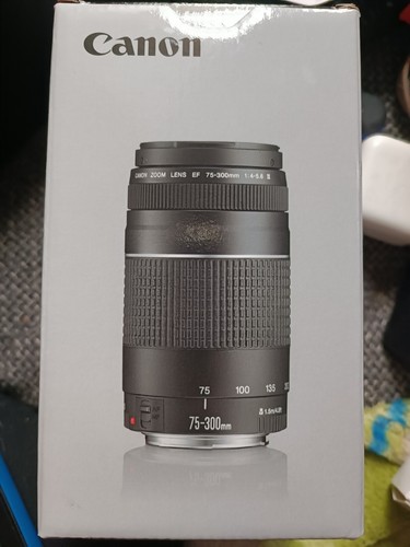 Canon 300 4 - mm, f/4.0-5.6