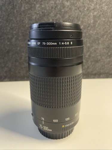 Canon 300 4 - 75-300, ii