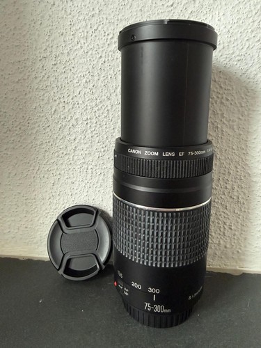 Canon 300mm 0 - ef, f/4.0-5.6