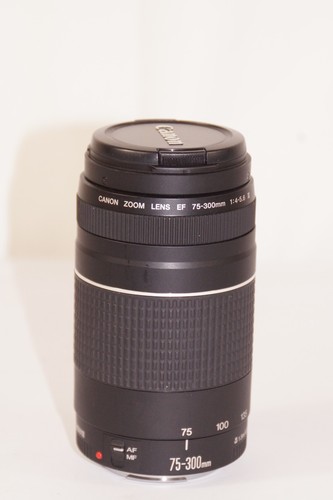 Canon objektiv 300 mm - ef,