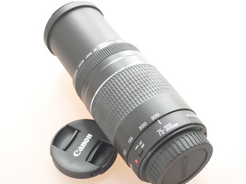 Canon 300mm 5 - ef, iii