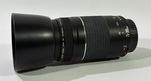 Canon 300mm 5 - canon, f4-5.6