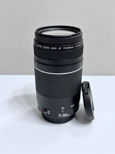 Canon 300 4 - 75-300, iii