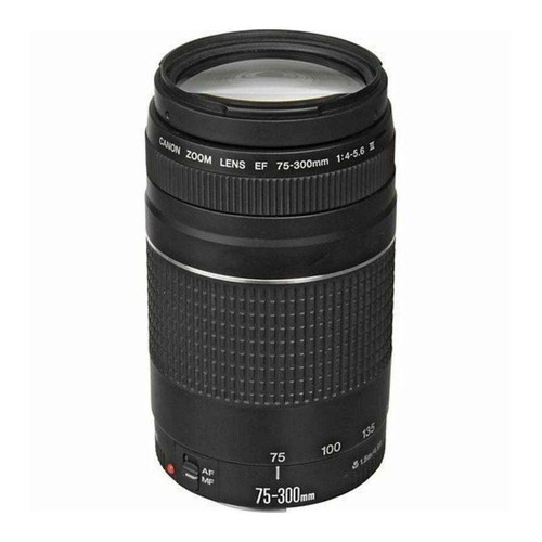 Canon 300mm 5 6 iii - f/4-5.6,