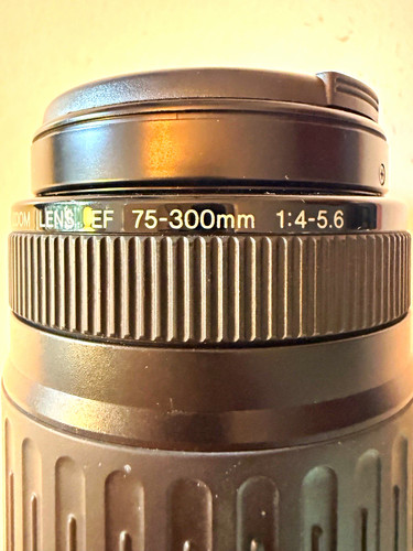 Canon zoomobjektiv 300 - canon, ef