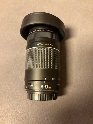 Canon 300mm 5 6 iii - canon,