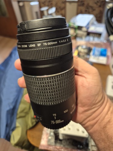 Canon 300mm 5 - 75-300mm, 4-5.6