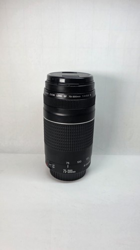 Canon 300mm 5 - ef, 75-300mm