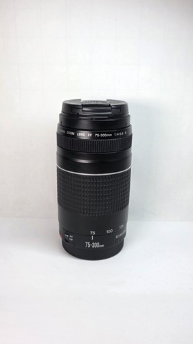 Canon 300mm 5 - ef, 75-300mm