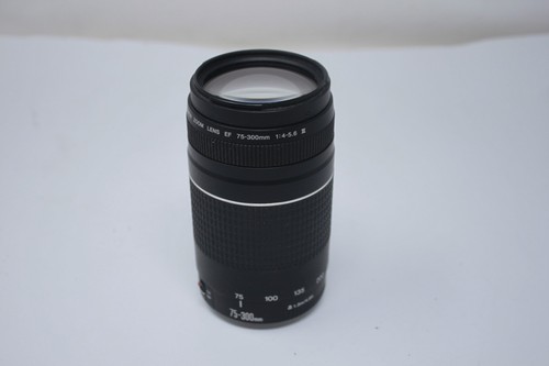 Canon 300 4 5 6 - canon, iii
